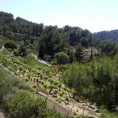 Le Reisch Holiday home La Cadiere-d'Azur